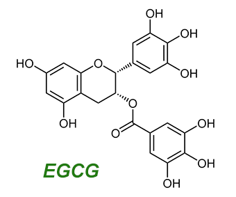 EGCG