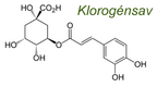 klorogénsav